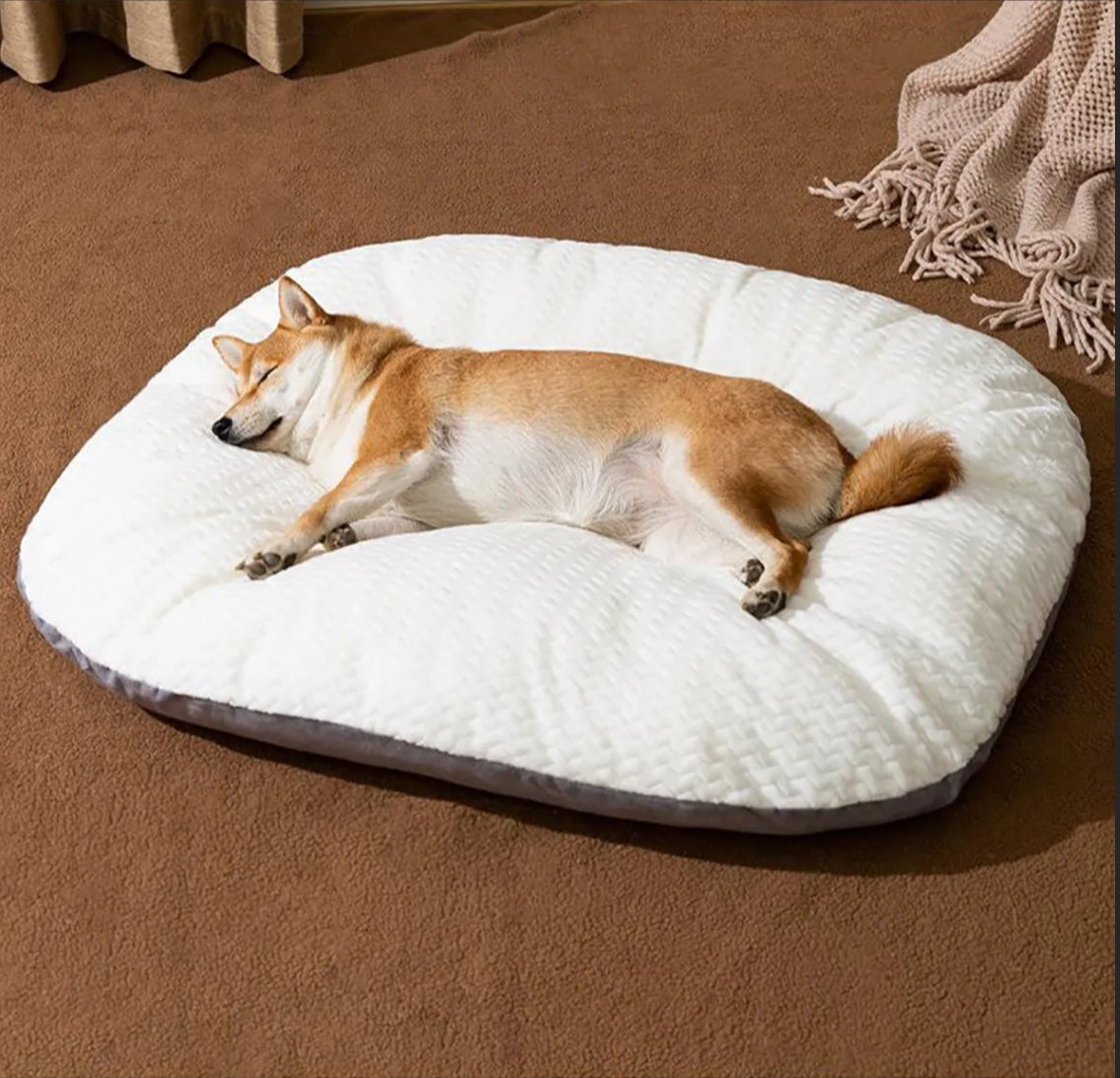 Dog Beds