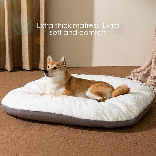 Oval Shape Dog Bed